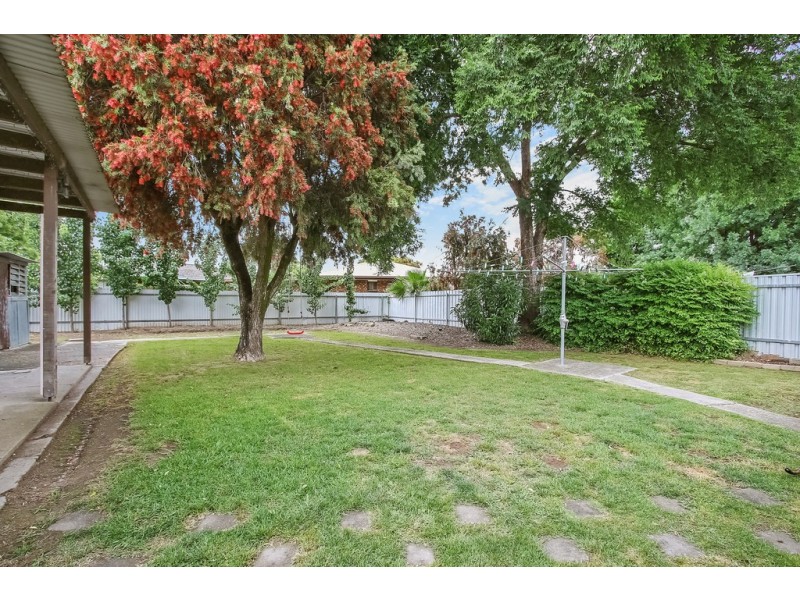 359 Douglas Road, Lavington NSW 2641