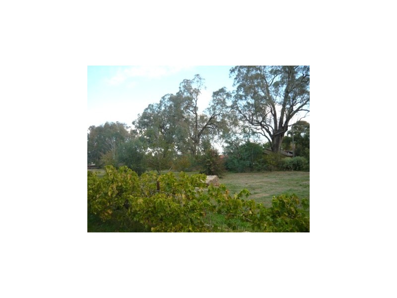 81-89 Mitchell Street, Jindera NSW 2642