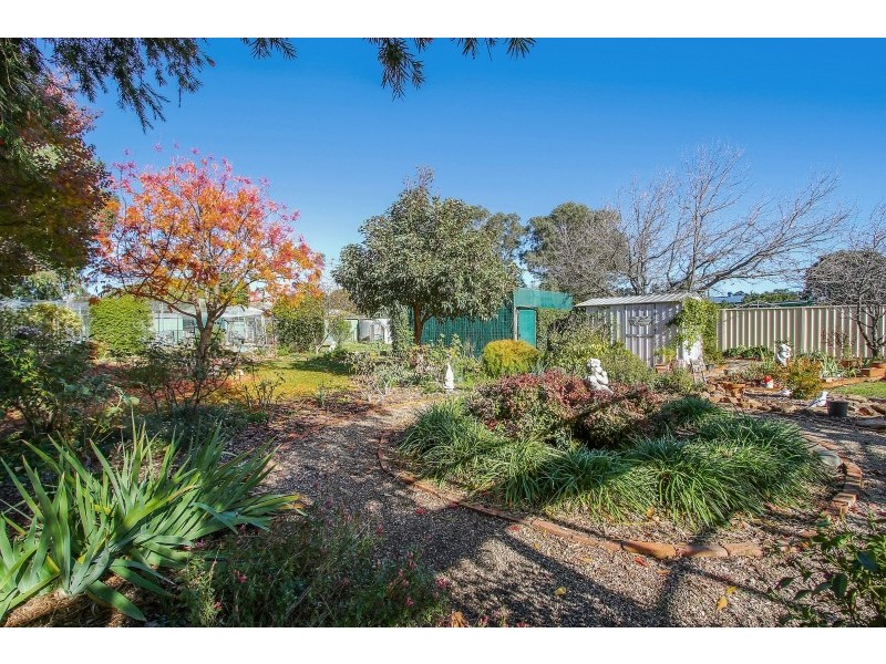 19 Wenke St, Walla Walla NSW 2659