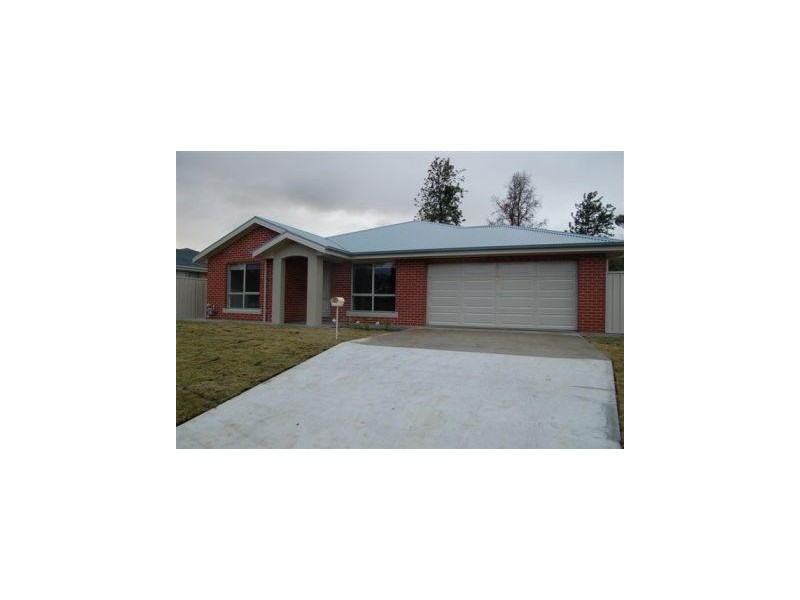 548  Williams Street, Lavington NSW 2641