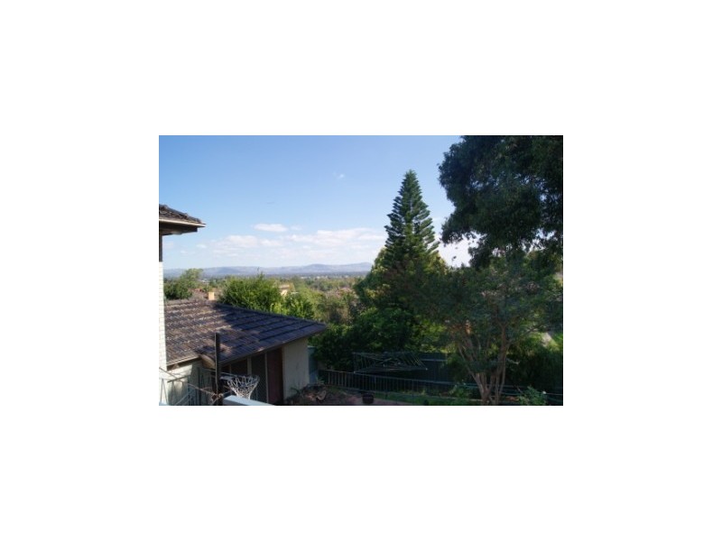 517 Murray Crescent, East Albury NSW 2640