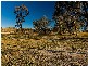 110 Hawthorn Road, Jindera NSW 2642