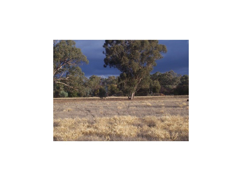 5 Lots Portion-216 Spring Drive, Corowa NSW 2646