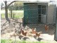 15 Market Street, Walla Walla NSW 2659