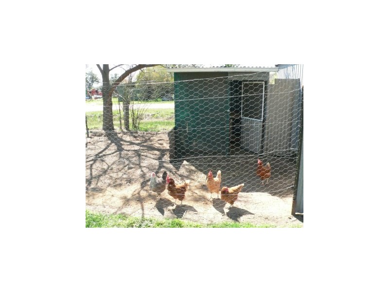 15 Market Street, Walla Walla NSW 2659