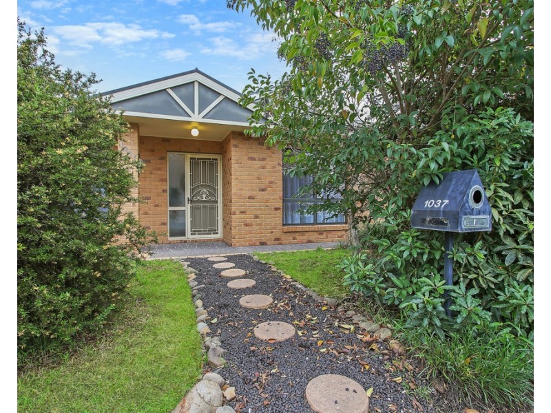 1037 Calimo Street, North Albury NSW 2640