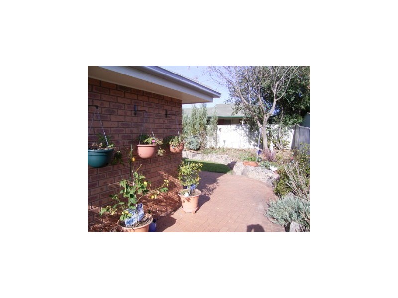9 Sarson Road, Lavington NSW 2641