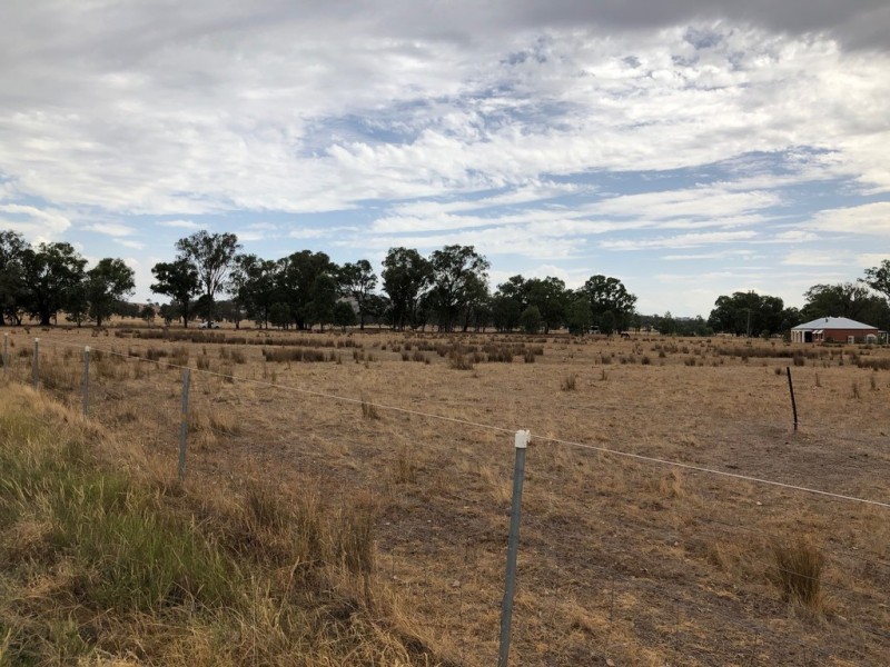 81 Hawthorn Road, Jindera NSW 2642