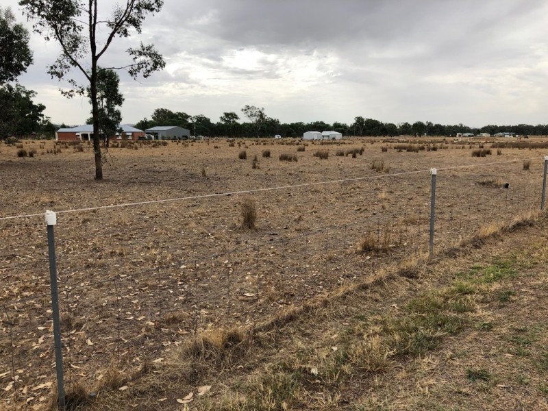 81 Hawthorn Road, Jindera NSW 2642