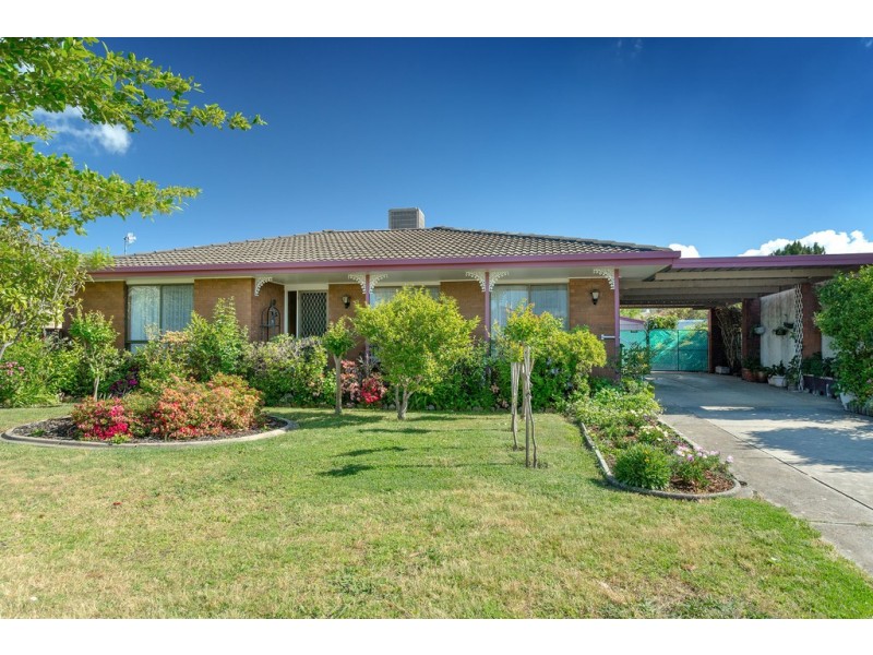 438 Schaefer Street, Lavington NSW 2641