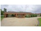 119 Hume Street, Howlong NSW 2643