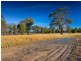 Lot 2 Colonial Drive, Jindera NSW 2642