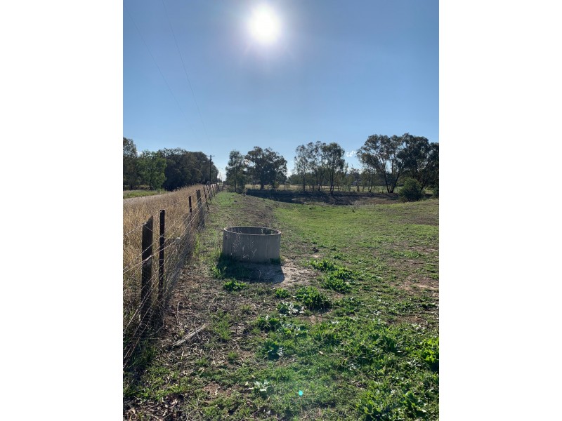 82A Thomas Street, Gerogery NSW 2642