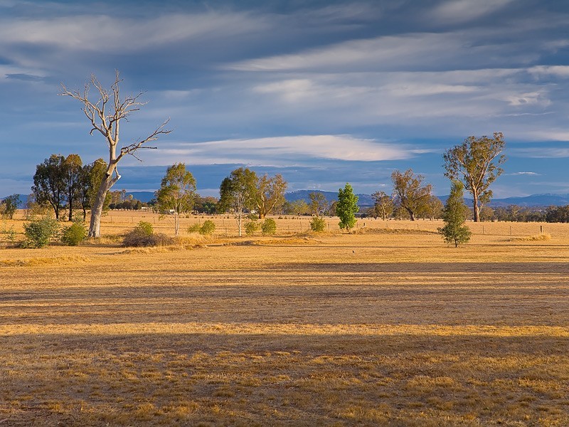 12 Sarah Street, Gerogery NSW 2642