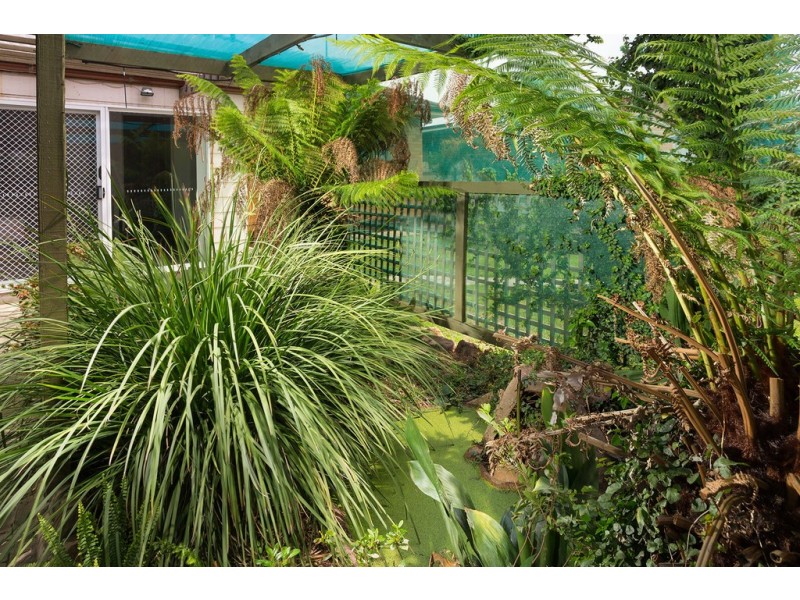 134 Tamarind Street, North Albury NSW 2640