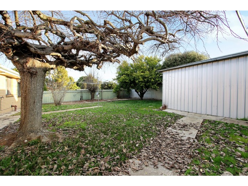 559 Iluka Crescent, Lavington NSW 2641