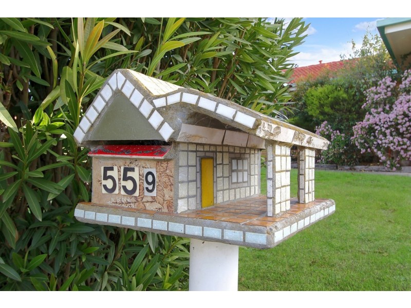 559 Iluka Crescent, Lavington NSW 2641