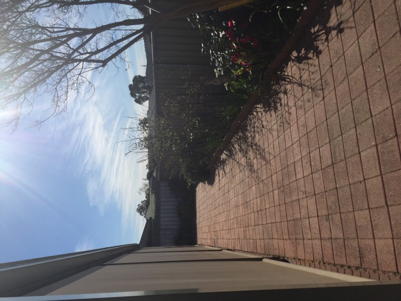 2/4 Rachel Court, Lavington NSW 2641