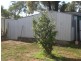 53 Kennedy Street, Howlong NSW 2643