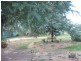 81-89 Mitchell Street, Jindera NSW 2642