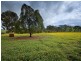 811 Glenellen Road (Gerogery West), Gerogery NSW 2642