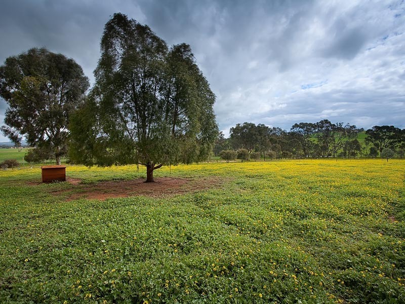 811 Glenellen Road (Gerogery West), Gerogery NSW 2642