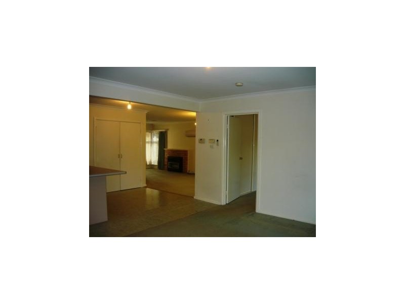 458 McKenzie Street, Lavington NSW 2641