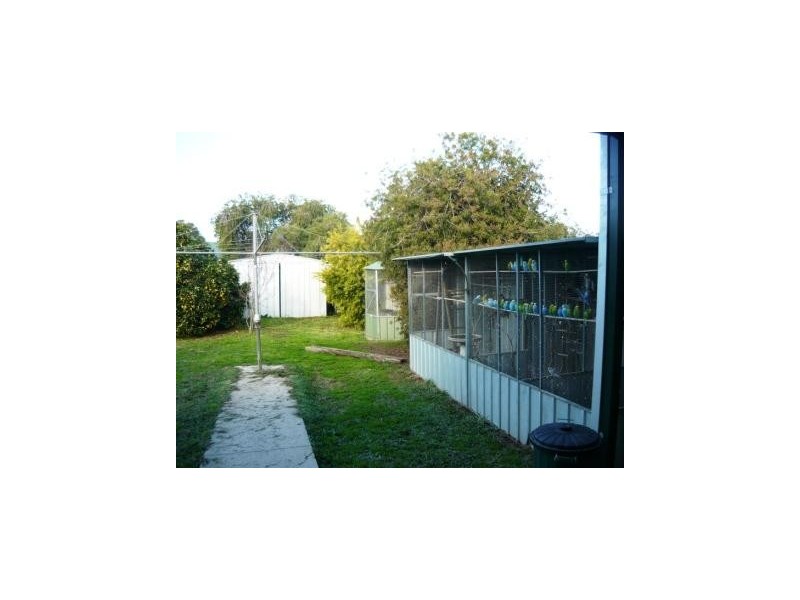 458 McKenzie Street, Lavington NSW 2641