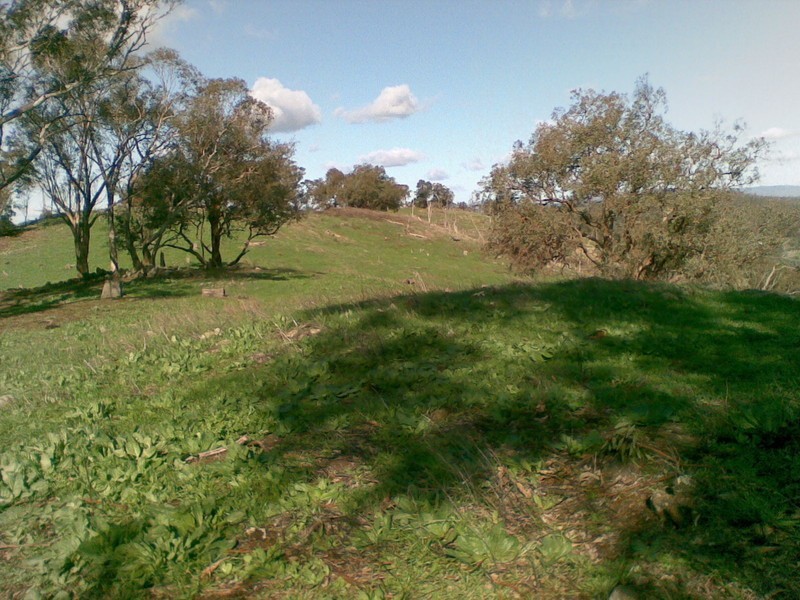 636 Mudge Street, Hamilton Valley NSW 2641
