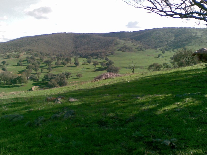 636 Mudge Street, Hamilton Valley NSW 2641