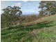 636 Mudge Street, Hamilton Valley NSW 2641