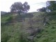 636 Mudge Street, Hamilton Valley NSW 2641