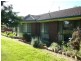 157 Hoddle Street, Howlong NSW 2643