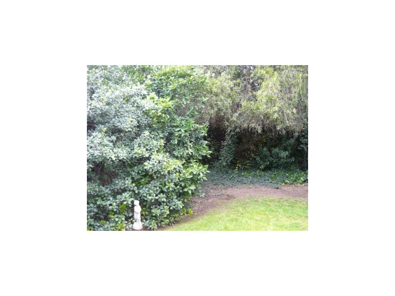 3/307 Moore Street, Lavington NSW 2641