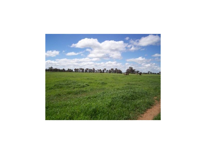 1 “Langrove” ~ LOWESDALE, Corowa NSW 2646