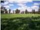 1 “Langrove” ~ LOWESDALE, Corowa NSW 2646