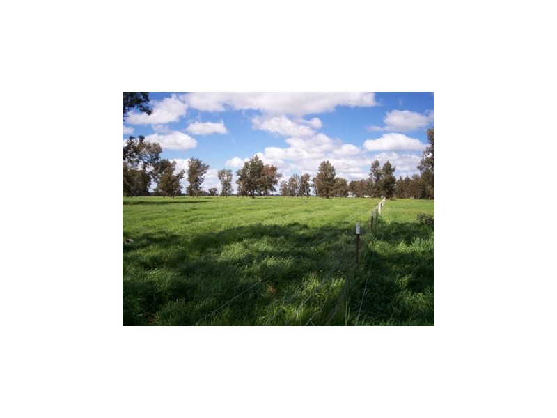 1 “Langrove” ~ LOWESDALE, Corowa NSW 2646