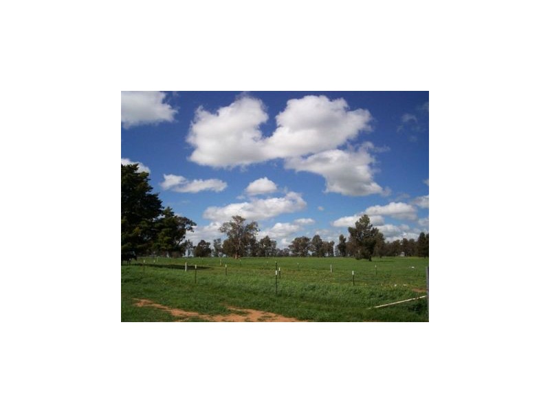 1 “Langrove” ~ LOWESDALE, Corowa NSW 2646