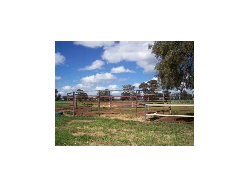 1 “Langrove” ~ LOWESDALE, Corowa NSW 2646