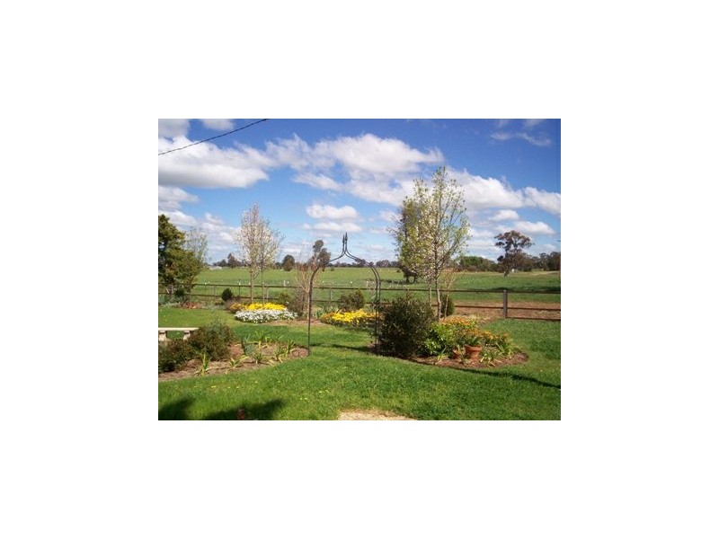 1 “Langrove” ~ LOWESDALE, Corowa NSW 2646