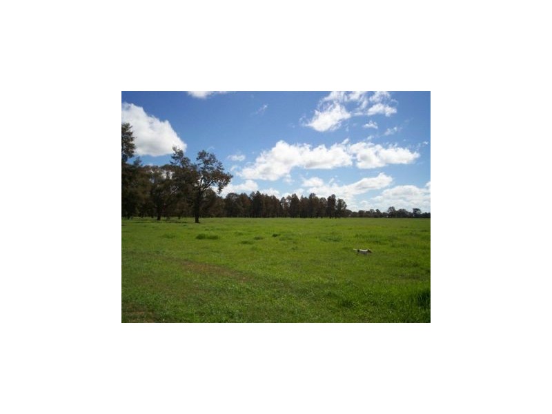 1 “Langrove” ~ LOWESDALE, Corowa NSW 2646