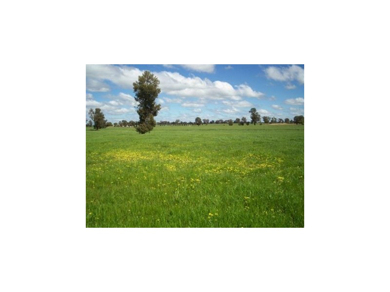 1 “Langrove” ~ LOWESDALE, Corowa NSW 2646