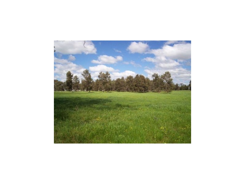 1 “Langrove” ~ LOWESDALE, Corowa NSW 2646