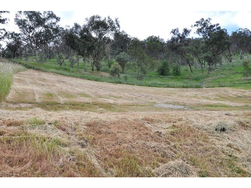 88 Chad Terrace (Norris Park), Lavington NSW 2641