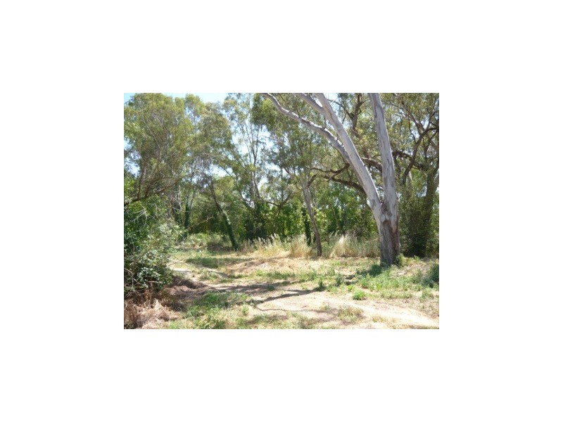 646 Centaur Road, Lavington NSW 2641