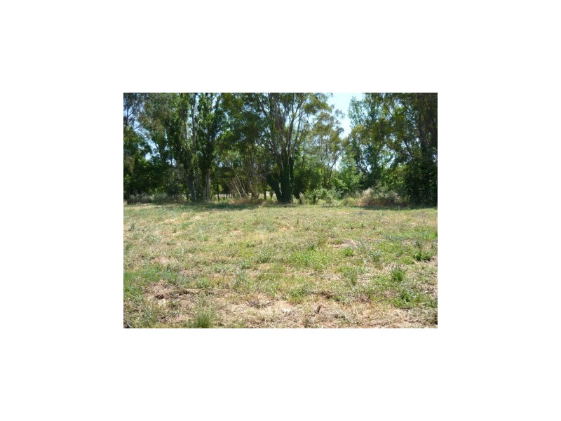 646 Centaur Road, Lavington NSW 2641