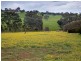 811 Glenellen Road, Gerogery NSW 2642