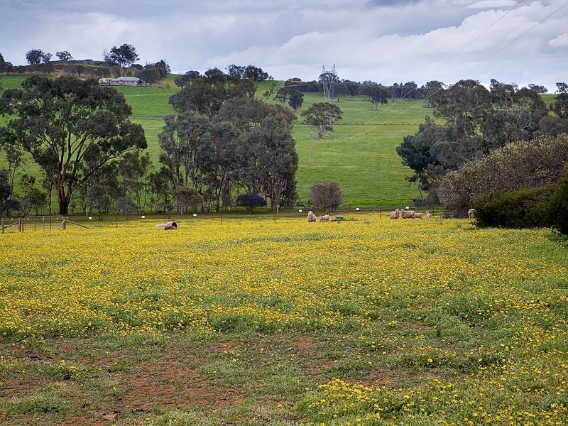 811 Glenellen Road, Gerogery NSW 2642