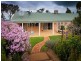 811 Glenellen Road, Gerogery NSW 2642