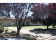 14  Sauvignon Drive, Corowa NSW 2646